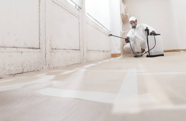 24/7 Emergency Mold Remediation experts in Newton, NC